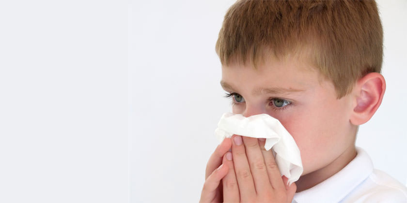 Los coronavirus 229E y OC43 causan síntomas de resfriado.