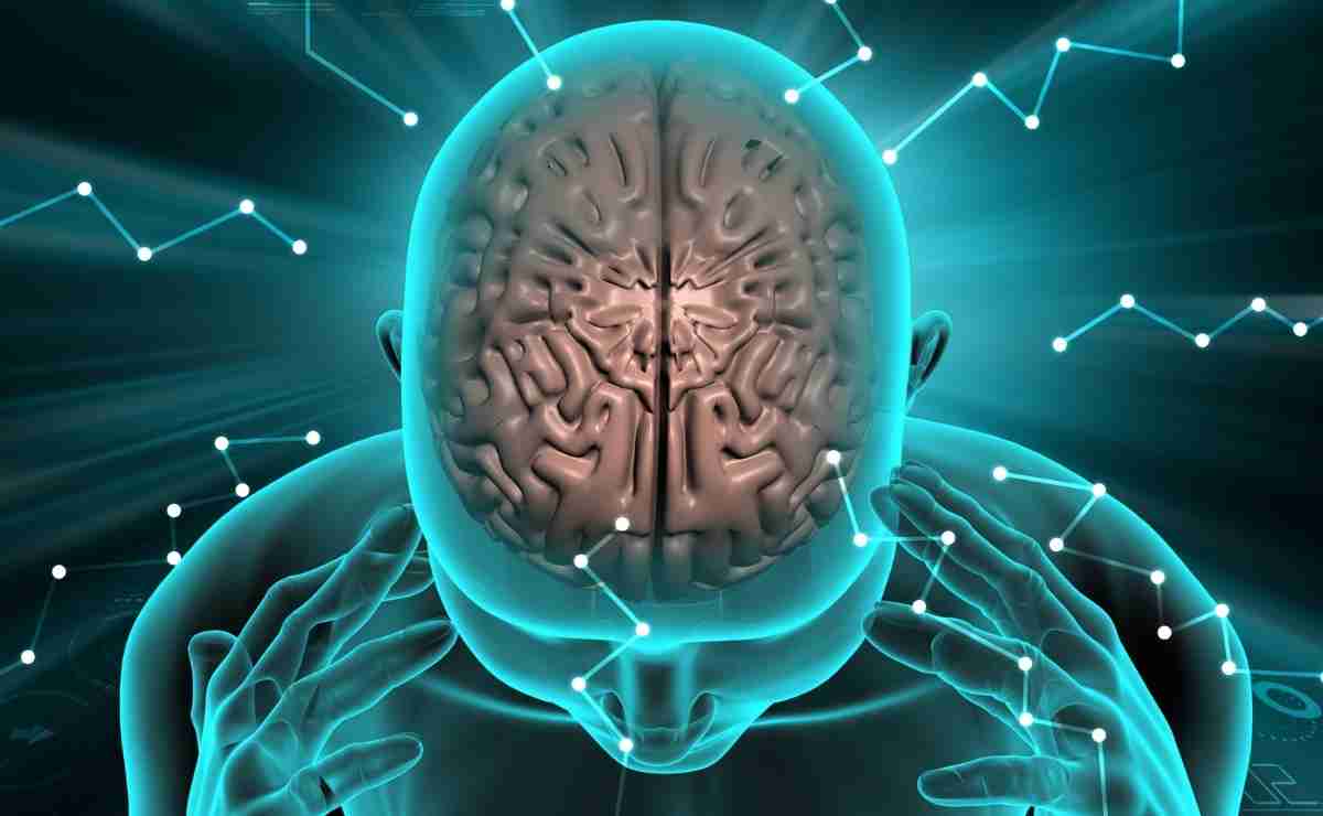 Harvard revela 3 claves para ejercitar su cerebro y mejorar su memoria 