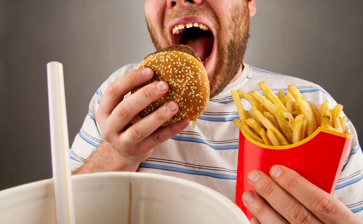 Cerebros de hamburguesa comen cerebros de comida rápida ultraprocesada
